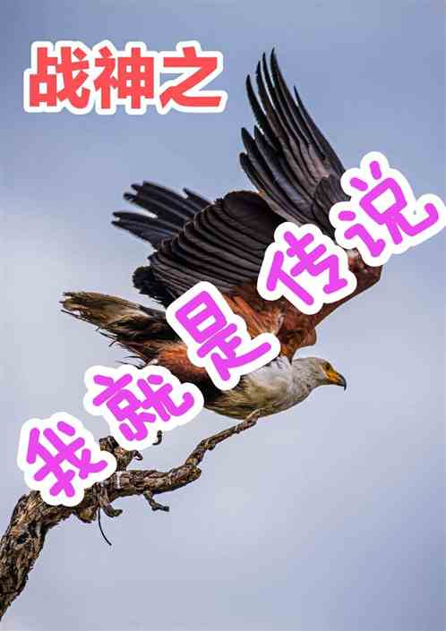 战神之我就是传说