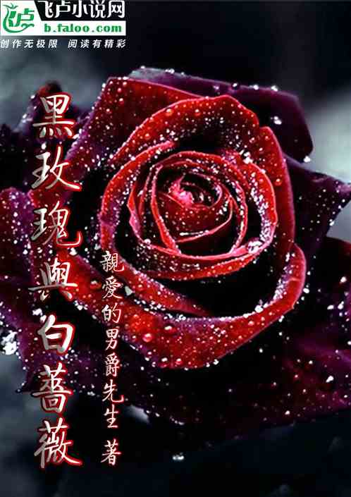 黑玫瑰与白蔷薇