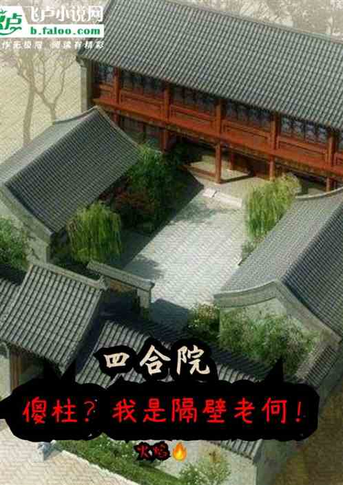 四合院∶傻柱？我是隔壁老何！