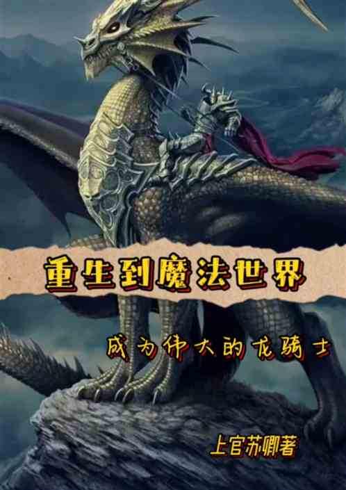 重生到魔法世界成为伟大的龙骑士