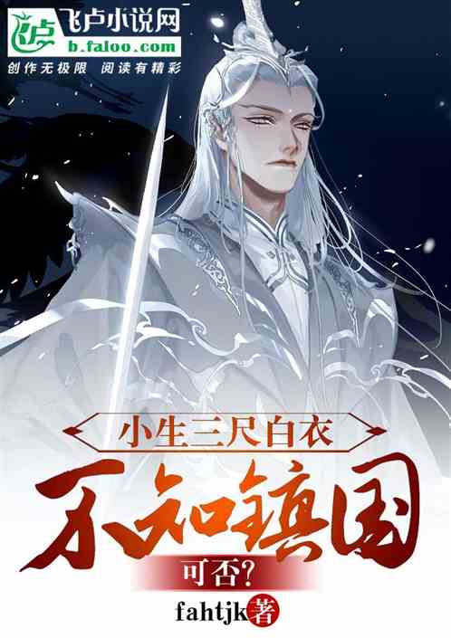 小生，三尺白衣不知镇国可否？