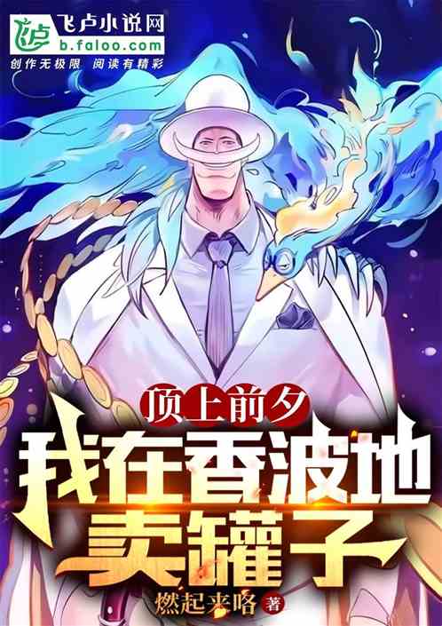 顶上前夕：我在香波地卖罐子