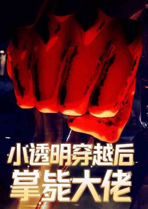 快穿：小透明穿越后掌毙大佬