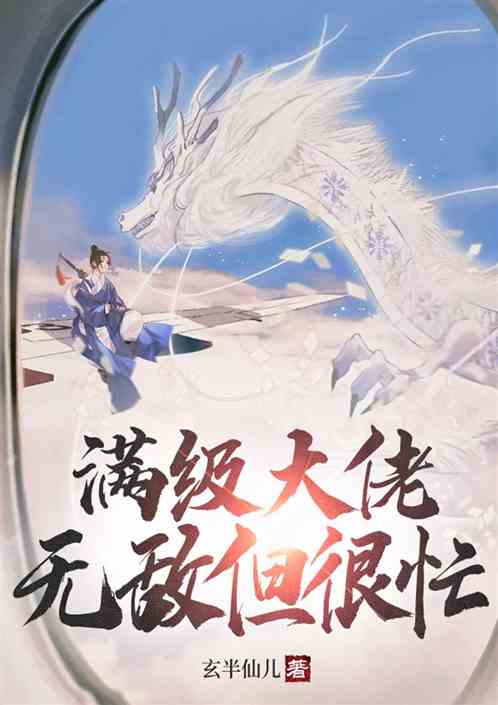 满级大佬：无敌但很忙