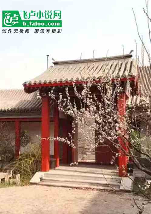四合院：开局保卫科，娶妻何幸福