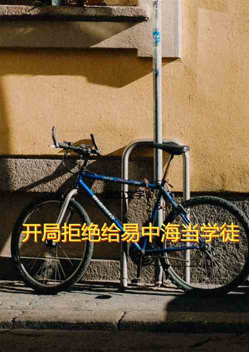 四合院：开局拒绝给易中海当学徒