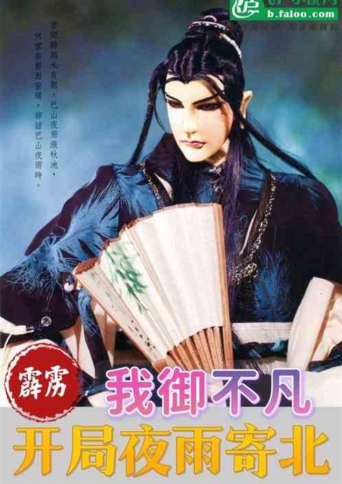 霹雳：我御不凡，开局夜雨寄北