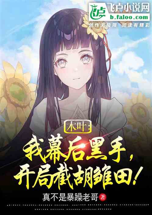 木叶：我幕后黑手，开局截胡雏田