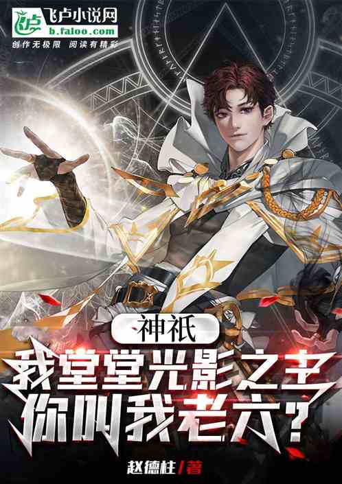 我堂堂光明之主，你叫我老六？