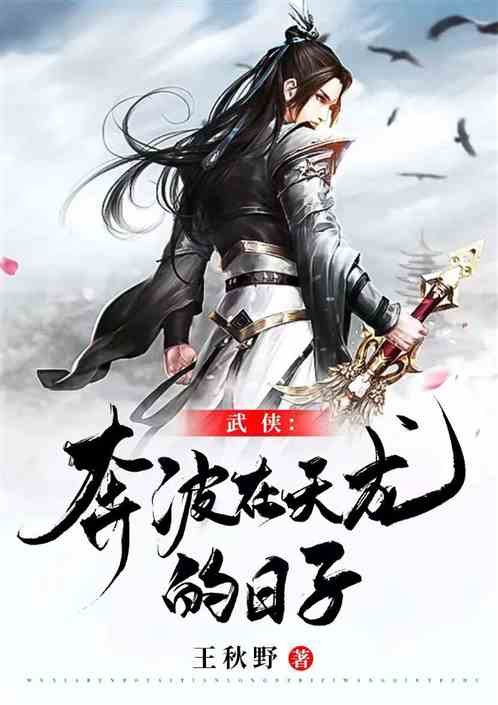 武侠：奔波在天龙的日子