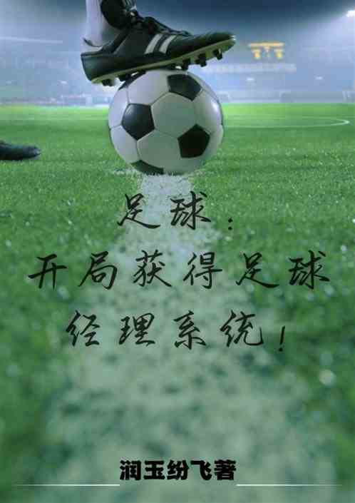 足球:开局获得足球经理系统！