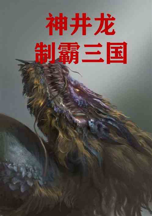神井龙制霸三国