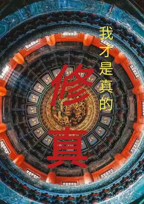 我才是真的修真
