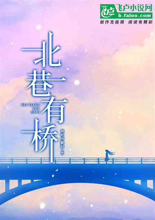北巷有桥