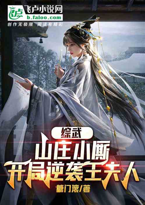 综武：山庄小厮，开局逆袭王夫人
