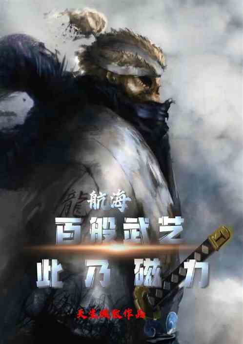 航海：百般武艺，此乃磁力
