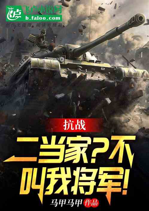 抗战二当家不叫我将军