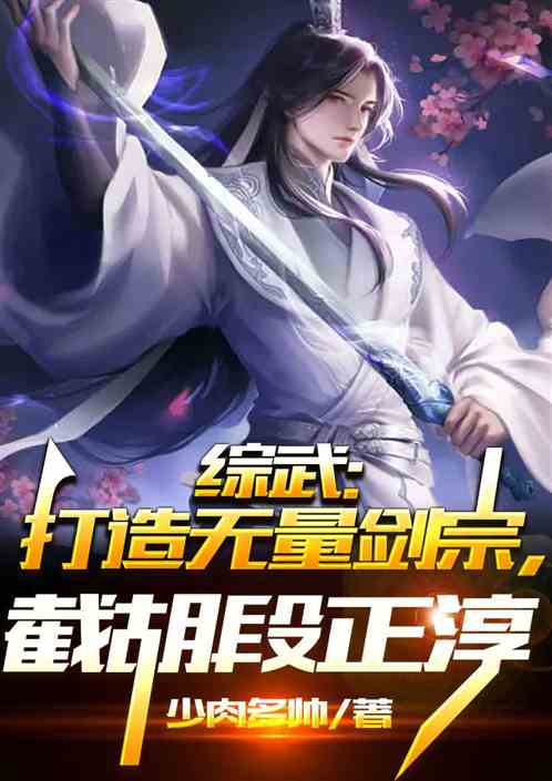 综武：打造无量剑宗，截胡段正淳