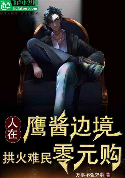 人在鹰酱边境，拱火难民零元购
