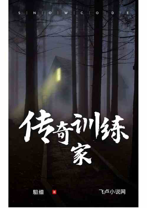 传奇训练家
