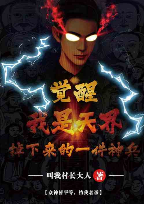觉醒：我是天界掉下来的一件神兵