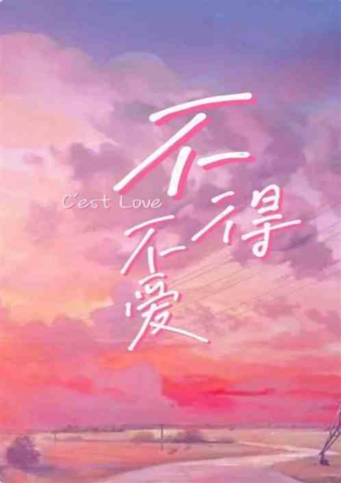 不得不爱