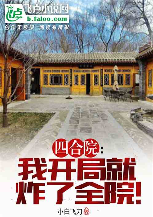 四合院：我开局就炸了全院！