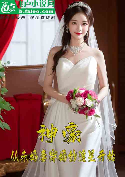 神豪：从未婚妻穿婚纱追星开始