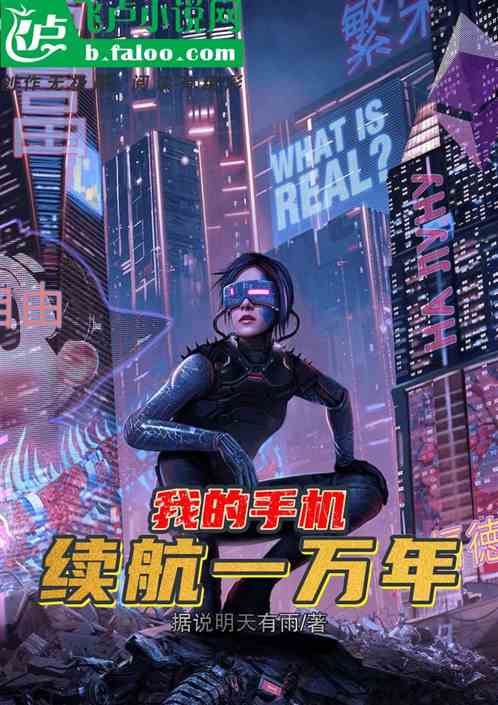 我的手机续航一万年