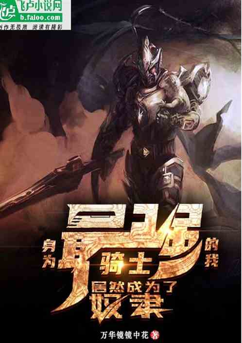 身为最强骑士的我居然成为了奴隶