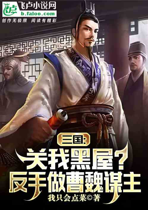 三国：关我黑屋？反手做曹魏谋主