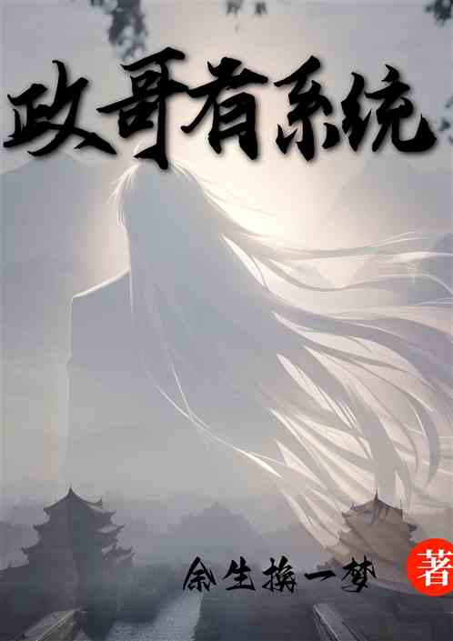 政哥有系统