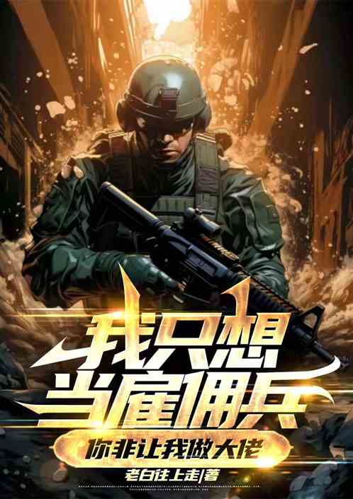 我只想当雇佣兵，你非要我做大佬