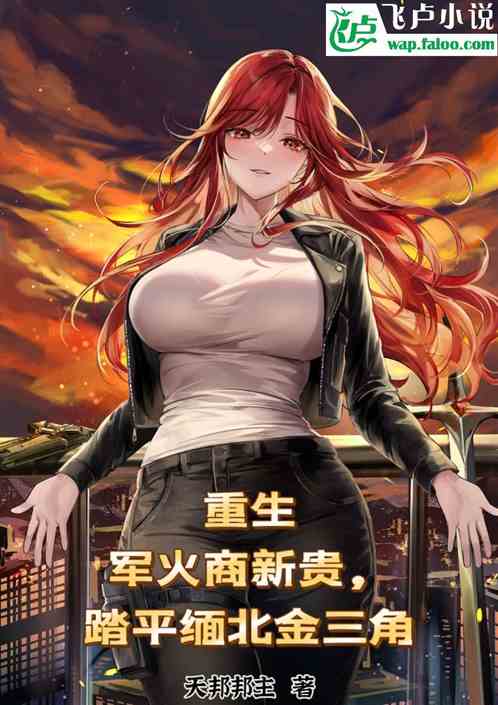 重生军火商新贵，踏平缅北金三角