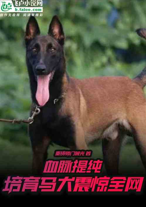 血脉提纯，培育马犬的我震惊全网