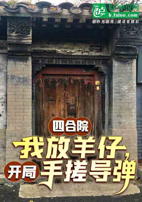 四合院：我放羊仔，开局手搓导弹