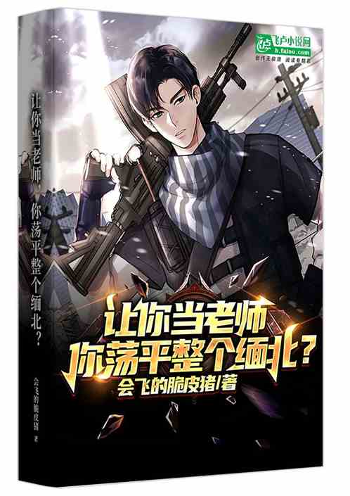 让你当老师，你荡平整个缅北？