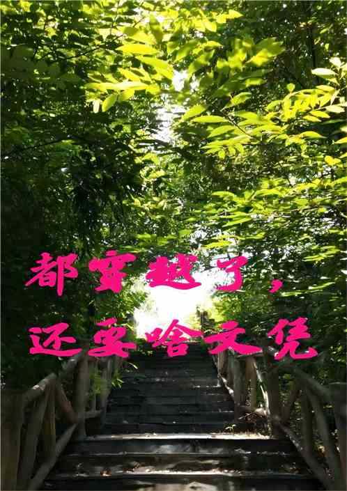 都穿越了，还要啥文凭