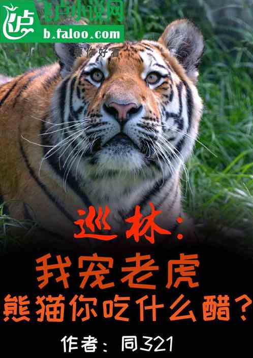 巡林：我宠老虎，熊猫你吃什么醋