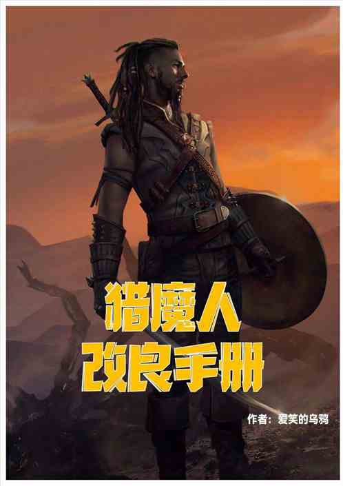 猎魔人改良手册