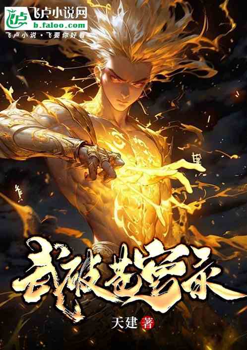 武破苍穹录