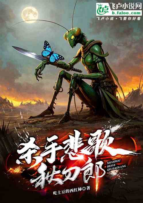 杀手悲歌秋刀郎