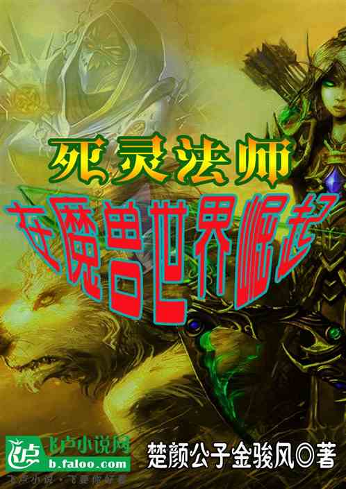 死灵法师，在魔兽世界崛起