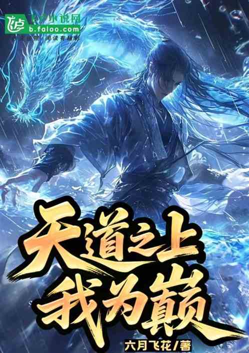 天道之上我为巅