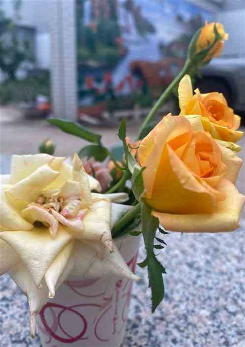 ֮˥