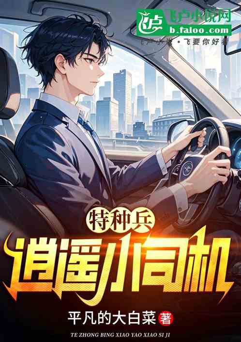 特种兵：逍遥小司机