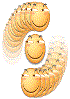 Ӱ֮