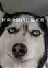 иӶŮ