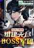 ѡٻʦ齨boss