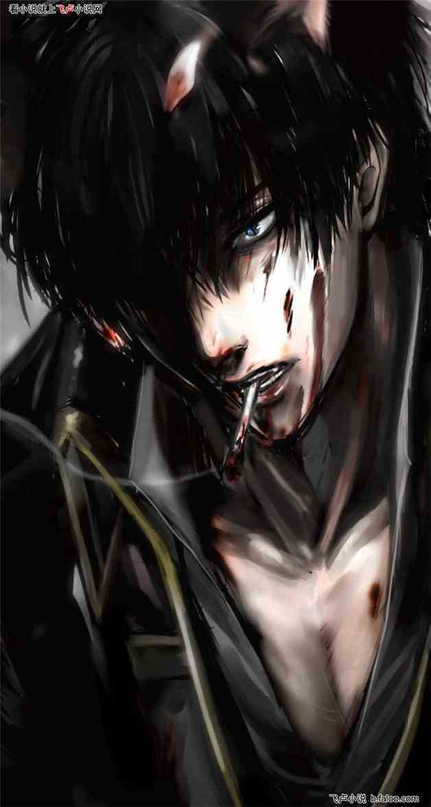 二次元破坏者:夜凡 二次元破坏者:夜凡